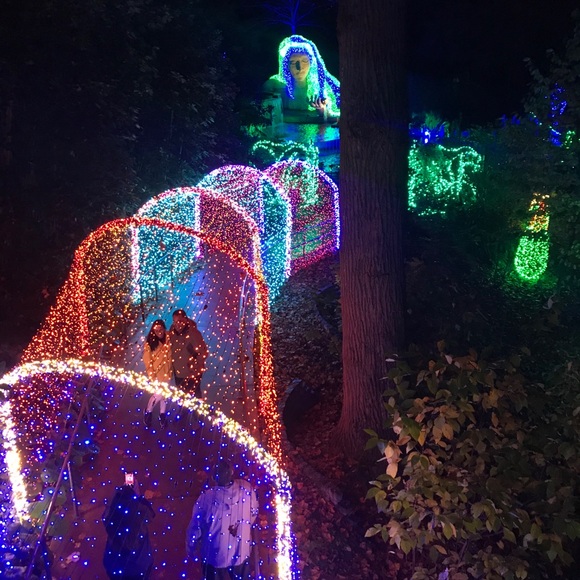 Meet your Posher, Kristen - Picture 4 of 4